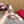 High Heel 70 Sandal The Bold Edition Vlogo Square Toe Rose Cannelle