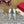 Vlogo Signature with Crystals Slingback Pump 70 Silver Calfskin