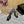NUIT SANDALS 85 IN BLACK CREPE SATIN AND WHITE RHINESTONES