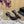 KITTY SANDALS 70 IN BLACK SHINY LEATHER
