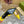 WOMEN'S HORSEBIT SLINGBACK PUMP LEMON CANVAS