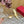 HIGH PUMP MULE 80MM IN GOLD CALFSKIN