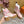 LV Laureate Platform Desert Boot 70mm Pink Mix Beige Suede