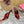 DC Keira Open-Toe Mules Red Leopard-Print & Sheepskin 925997