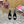 DC Rhinestone Buckle Mules Black Silk & Sheepskin 926030