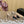 Alaila Mule 100mm In Black Lambskin 957217