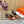 HM Intime 75 Pump Caramel Lambskin 957091