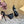 CL 25C Cassia Lace Up Alta 160mm Black Silk 221616