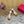VT 2025 High Heels Sandals 110mm Brown Calfskin 286488