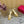 VT High Heels Sandals 110mm Gold Calfskin 286485