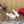 Valentino Tan-Go Clogs 10cm White Leather 702269