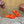 LP Vera Sandal Orange Sheepskin 307964