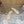 Jimmy Choo Mary Jane Flat Shoes Nude Mesh Leather 537764