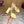 GG 26s Horsebit Platform Sandals 11cm Light Yellow Patent Leather 886499