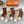 LOW-CUT SOCKS 387188 (1 BOX)