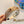 HAIRBAND WITH FLOWER PRINT IN DESERT BROWN SILK 398864