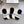 FLAT SOCKS 417515 (1 BOX )