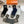 CREW SOCKS 419077 (1 BOX)