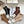 LOW-CUT SOCKS 420795 (1 BOX)