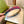 HEADBAND IN COLORFUL CANVAS 432789