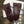 SADDLE GLOVES IN BURGUNDY RED LAMBSKIN MIX MONO JACQUARD FABRIC 427423