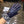SADDLE GLOVES IN INDIGO BLUE LAMBSKIN MIX MONO JACQUARD FABRIC 465051