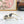 CC Cat-Eye Sunglasses 346062