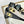 TRIOMPHE SUNGLASS CL40251U IN ACETATE