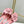 Jimmy Skye 65mm In Pastel Pink Cowhide Mules 597848