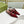 STRAPPY FLAT SLINGBACK IN SCARLET RED GLOSSY CALFSKIN