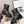 CC 26s Quilted Chain Boots Black Calfskin 924503