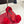 DC 24 Keira Floral-Appliqué Sandals Red Sheepskins & Cowhide 304709
