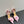 CC 25 Flower Rose Pumps Pink Silk 337168