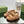 DAD SANDALS IN CIDER BROWN FLEECE