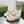 DAD SANDALS IN WHITE FLEECE