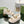 DAD SANDALS IN WHITE FLEECE