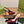 GG SIGNORIA SLINGBACK PUMP BLOOD LAMBSKIN