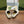 GG JORDAAN LOAFER GLOSSY WHITE LAMBSKIN