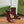 GG 26s Signoria Ankle Boot 10.5cm Burgundy Cowhide 997221
