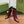 GG 26s Signoria Ankle Boot 10.5cm Burgundy Cowhide 997221