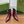 GG 26s Signoria Ankle Boot 4.5cm Burgundy Cowhide 997218