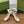 WOMEN'S HORSEBIT SLINGBACK 55MM IN WHITE CALFSKIN WITH RHINSTONES