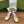 WOMEN'S HORSEBIT SLINGBACK 55MM IN WHITE CALFSKIN WITH RHINSTONES