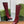 GG 26s Signoria Long Boot 10.5cm Burgundy Cowhide 997212