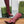 GG 26s Signoria Long Boot 10.5cm Burgundy Cowhide 997212