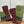 GG 26s Signoria Long Boot 4.5cm Burgundy Cowhide 997213