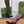 GG 26s Signoria Long Boot 10.5cm Brown Cowhide 997215