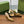 GG HIGH SLINGBACK 10.5 CM IN DIJON YELLOW GLOSSY CALFSKIN