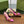 GG HIGH SLINGBACK 10.5 CM IN FUSICA PINK GLOSSY CALFSKIN