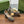 GG HIGH SANDAL 11.5 CM IN BLACK MIX BEIGE MONOGRAM JACQUARD FABRIC